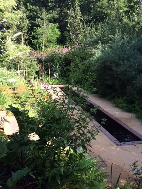 Le jardin de sous-bois (jardin Unep à Chaumont-sur-Loire)