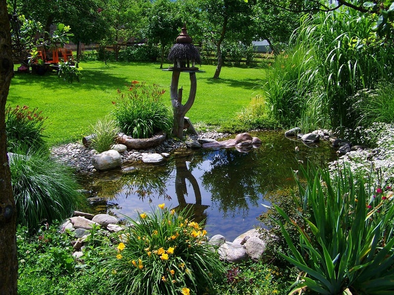 Aménager un jardin aquatique