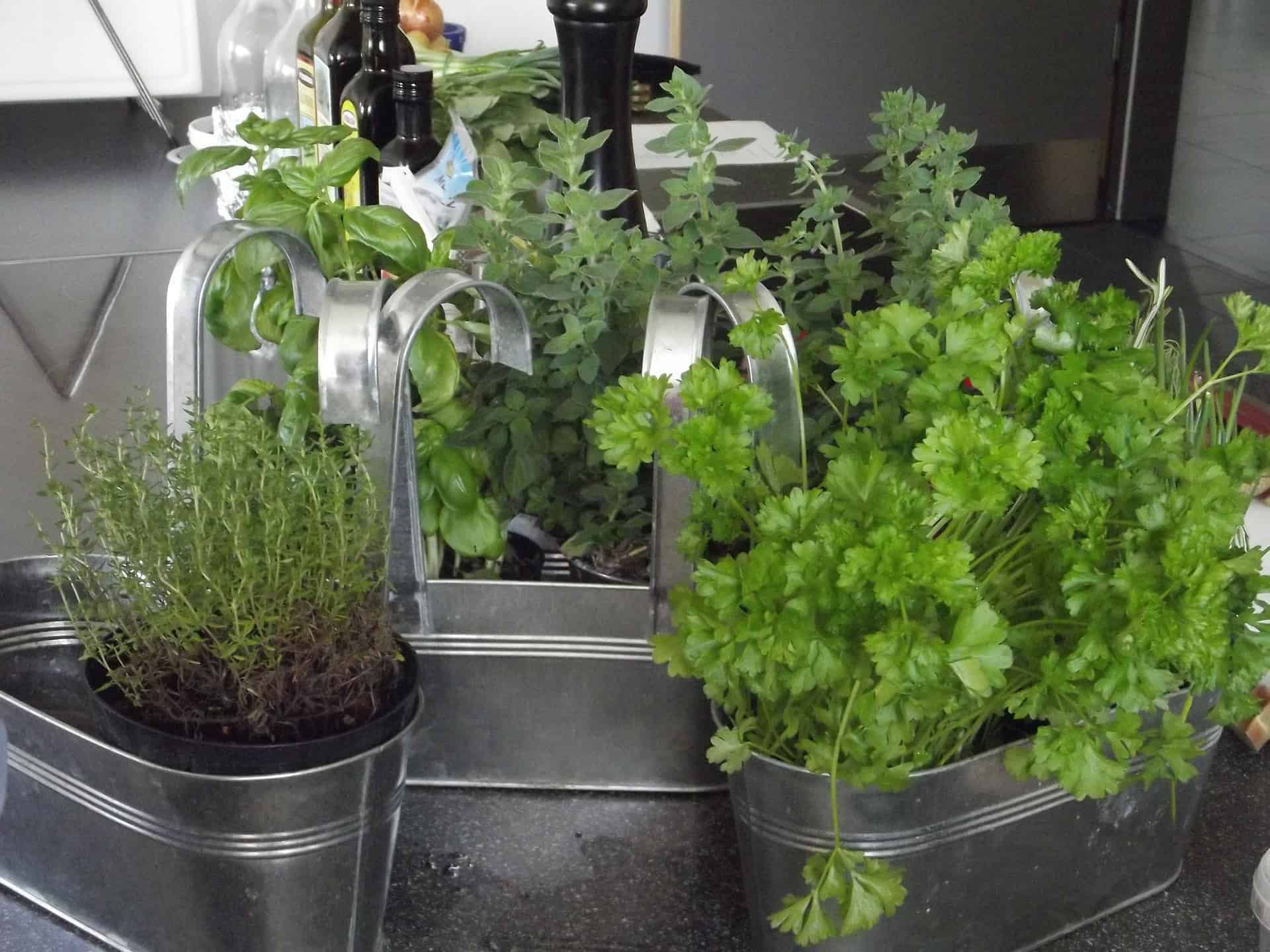 Fabriquer une petite jardinière pour plantes aromatiques dans la cuisine