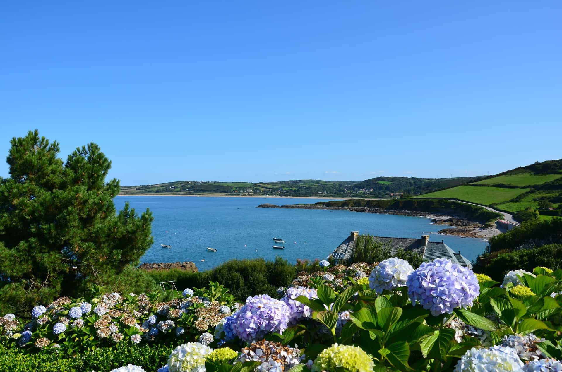 Jardin bord de mer