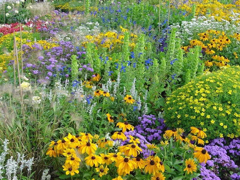 Jardin écologique