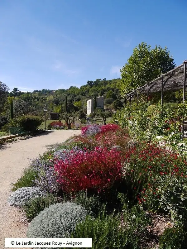 Jardin méditérranéen