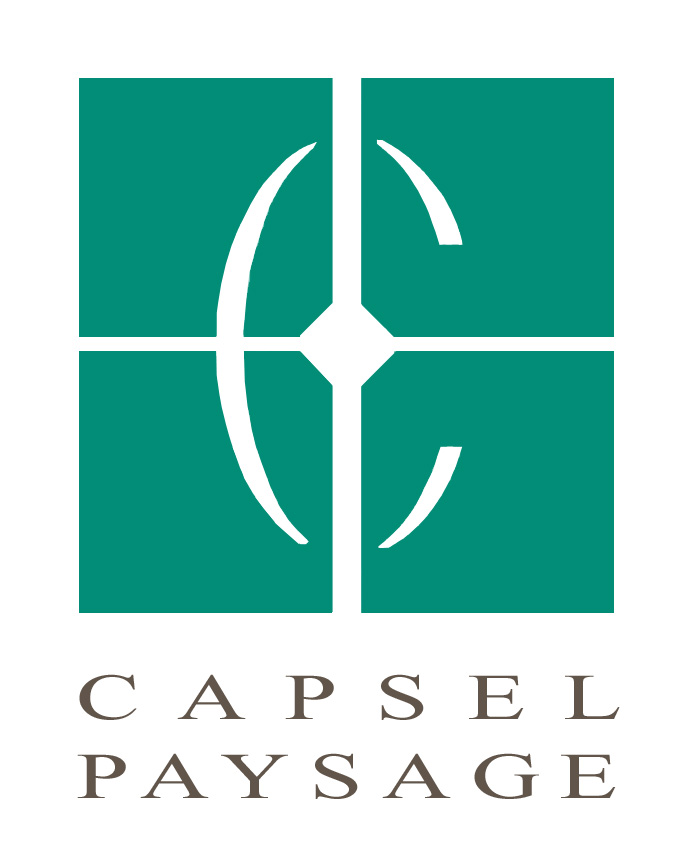 Logo CAPSEL