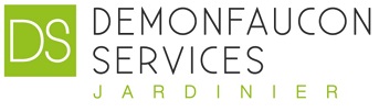 Logo DEMONFAUCON SERVICES