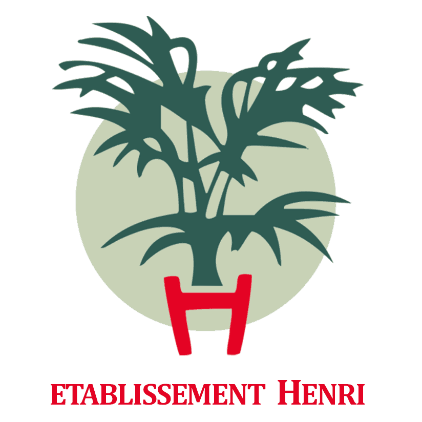 Logo ETABLISSEMENT HENRI