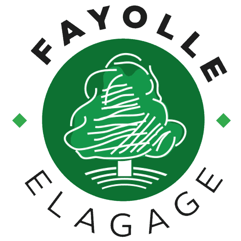 Logo FAYOLLE JEROME SARL