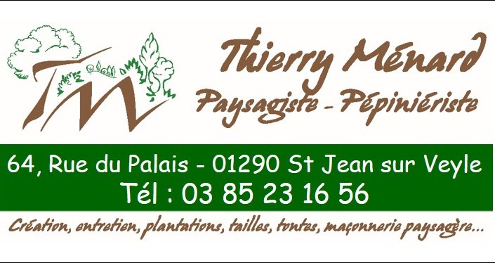 Logo THIERRY MENARD ENTREPRISE