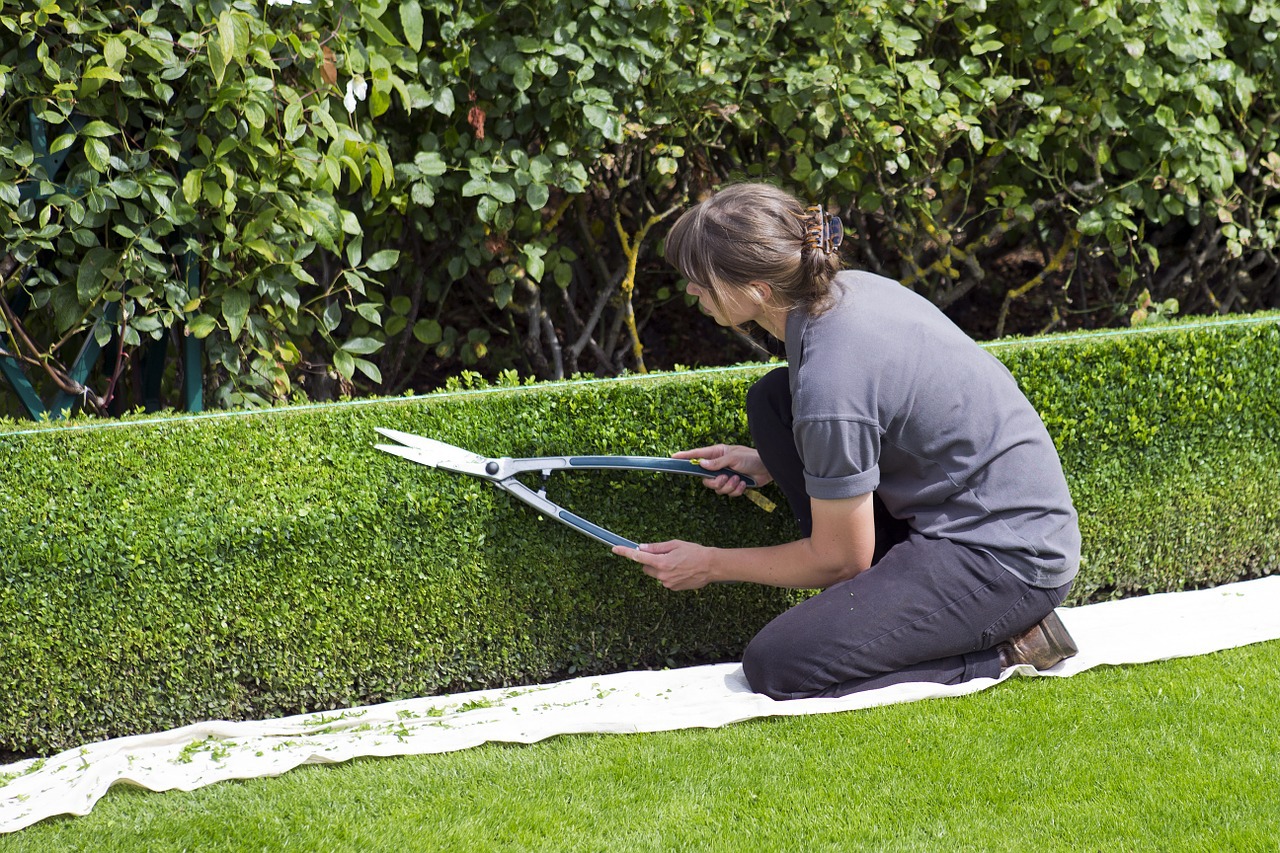 Jardinier paysagiste