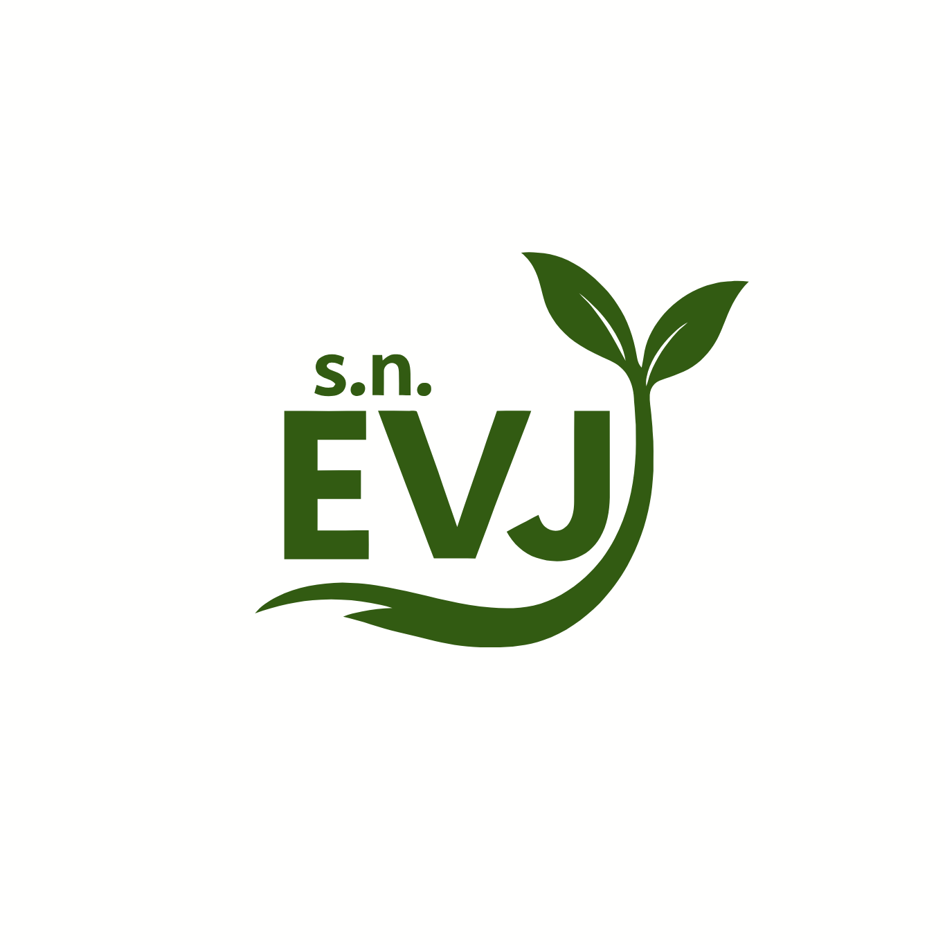 Logo S.N. EVJ