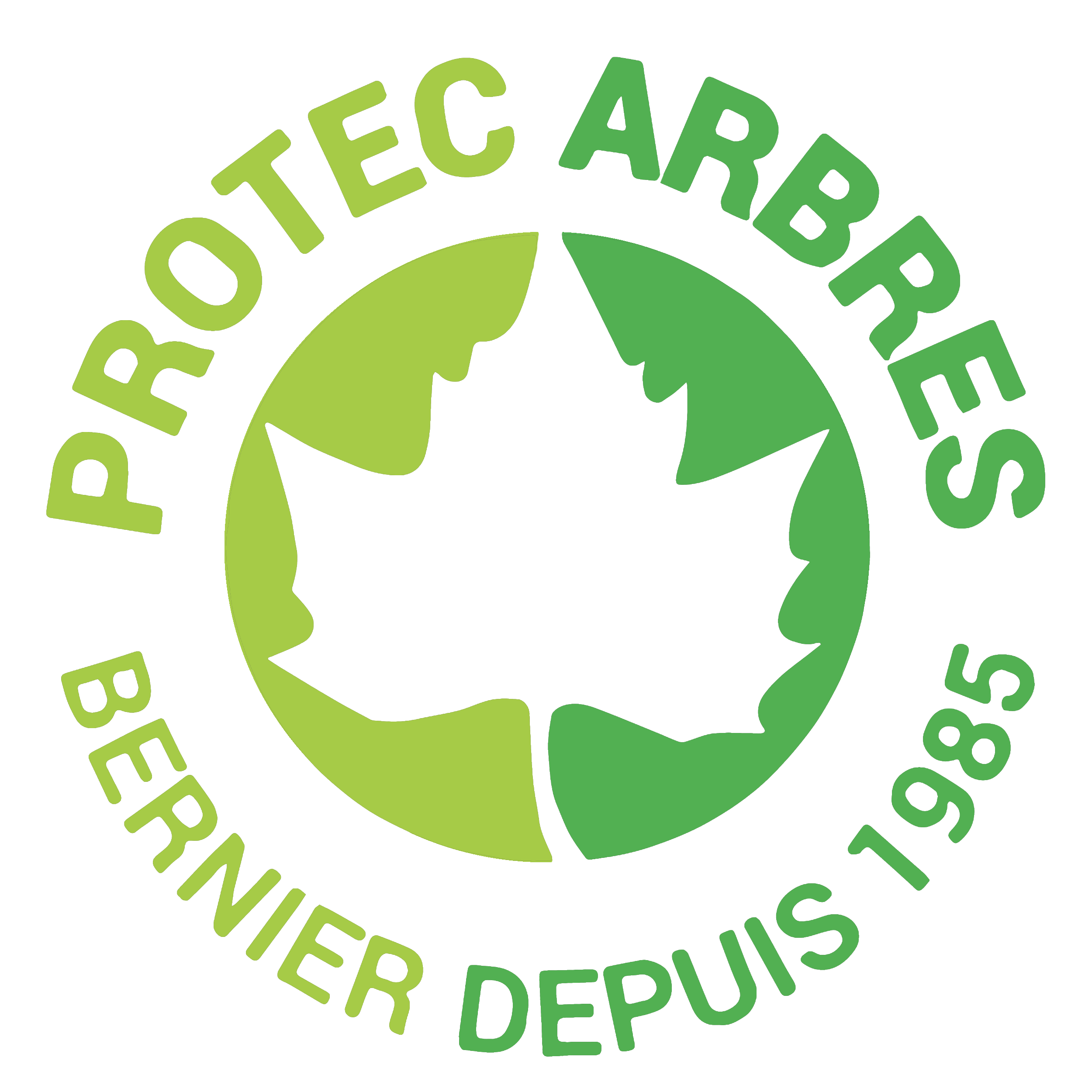 Logo PROTEC ARBRES
