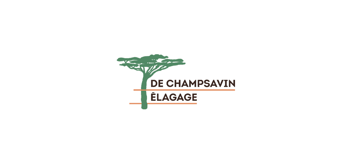 Logo DE CHAMPSAVIN ELAGAGE