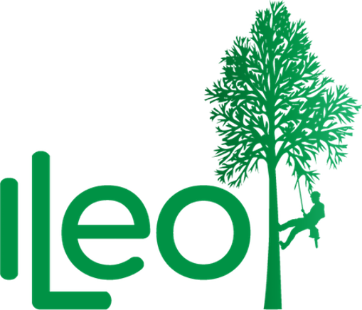 Logo ILEO