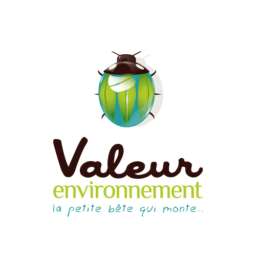 Logo VALEUR ENVIRONNEMENT