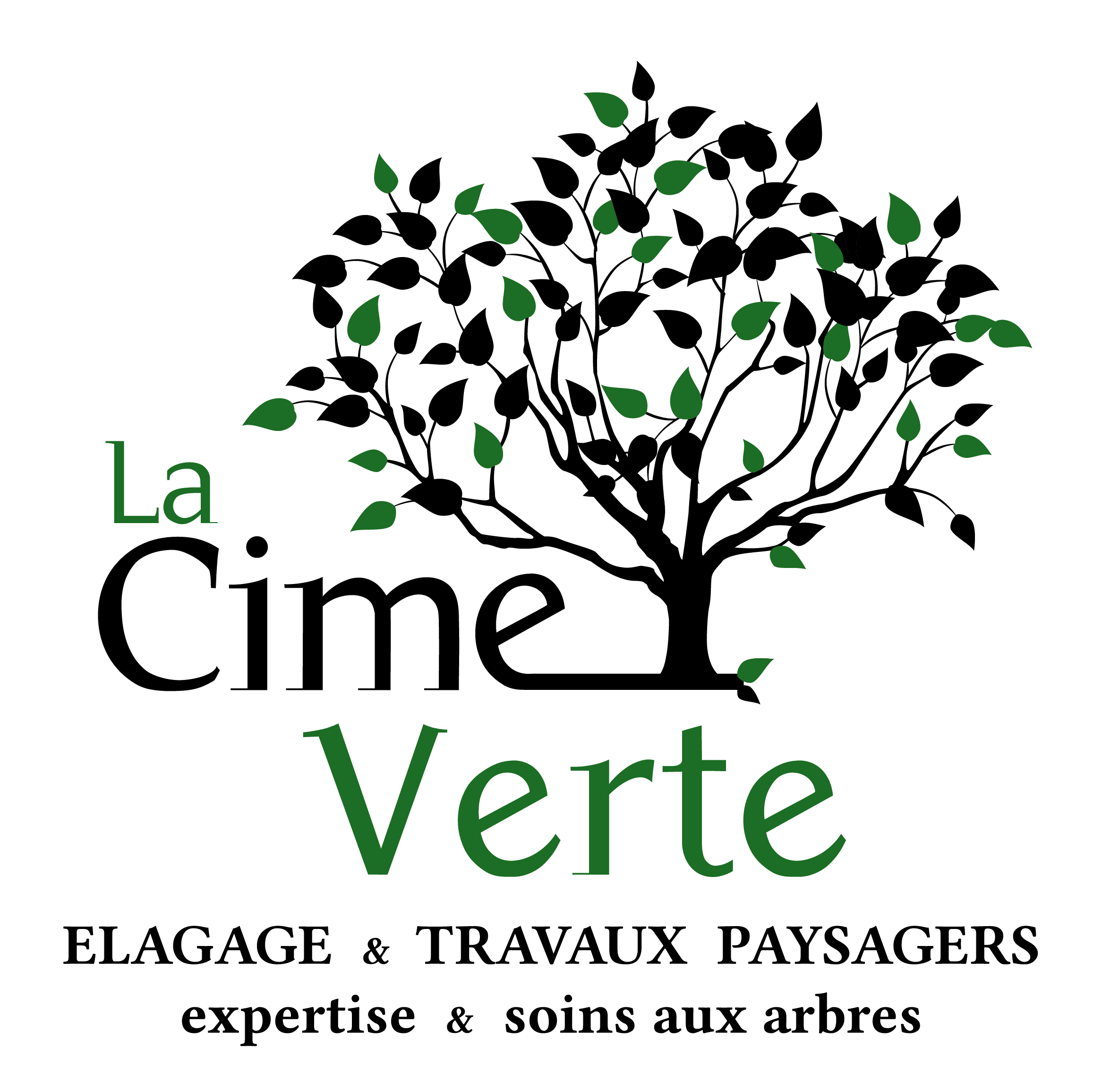 Logo LA CIME VERTE