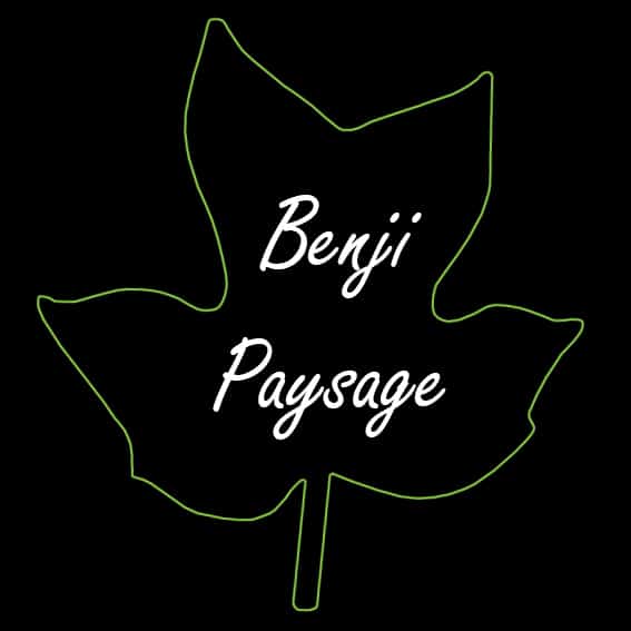 Logo BENJI PAYSAGE