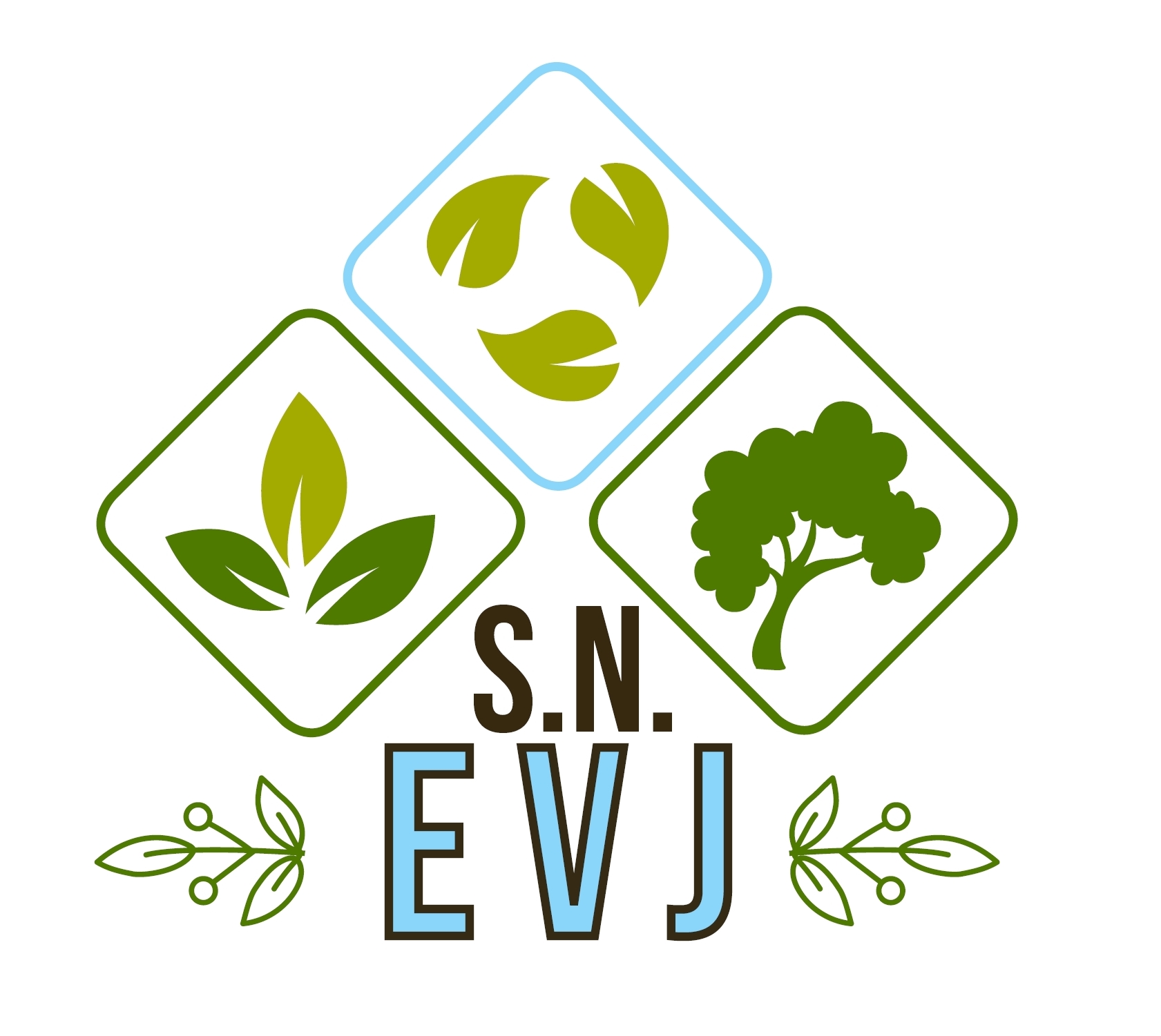 Logo S.N. EVJ