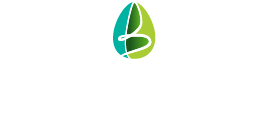 Logo BERTRAND PAYSAGE