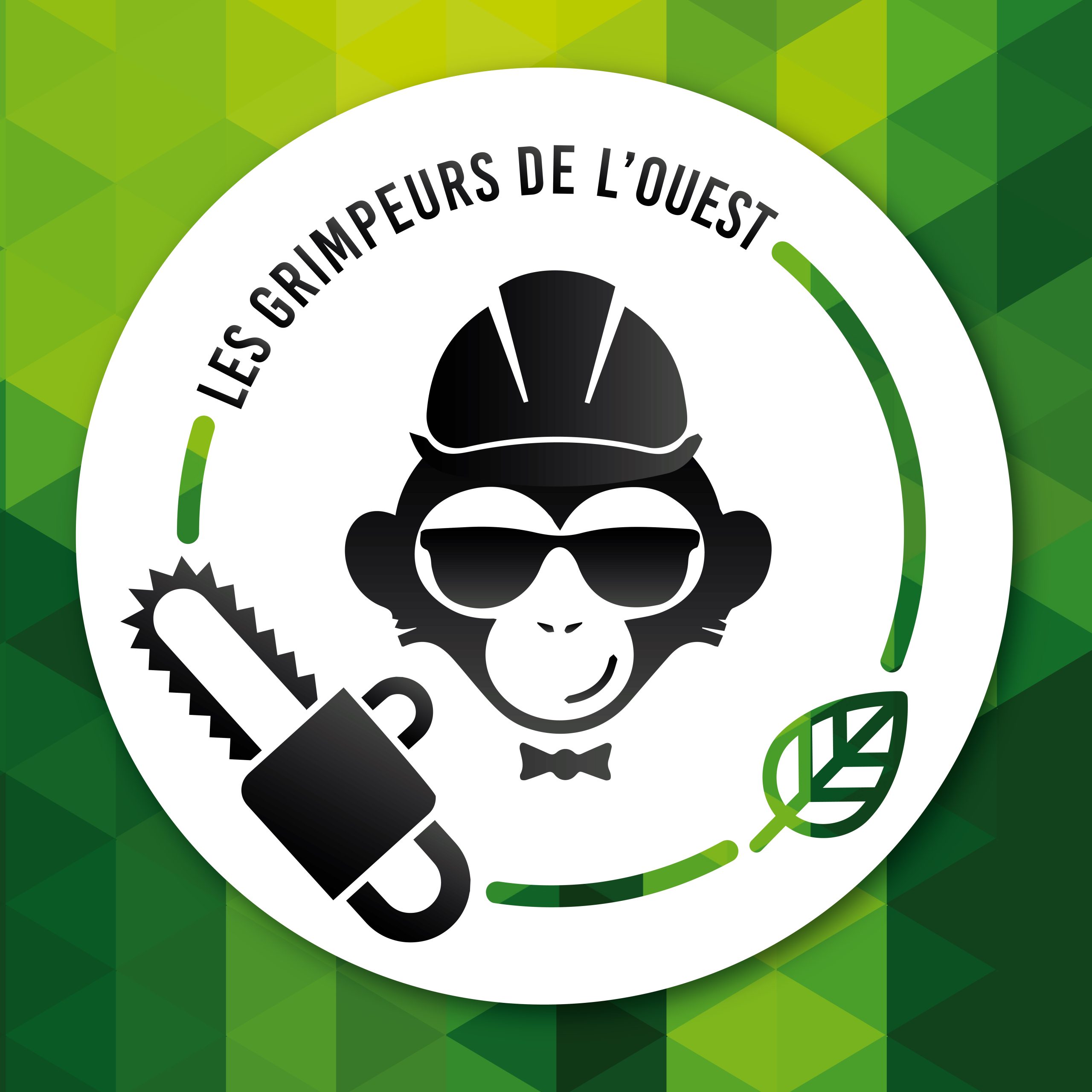 Logo AJEIP LES GRIMPEURS DE L’OUEST