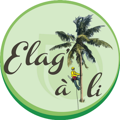 Logo ELAG’  A  LI