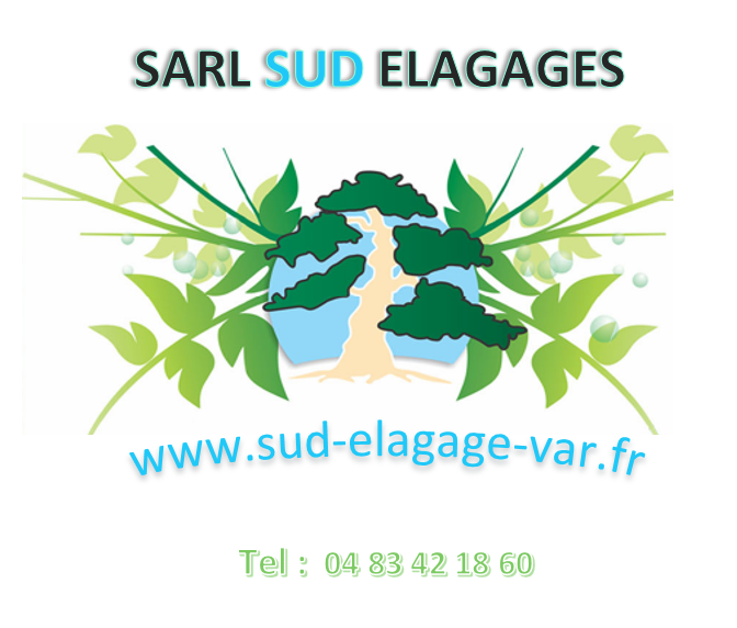 Logo SUD ELAGAGES