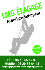 Logo LMG ELAGAGE