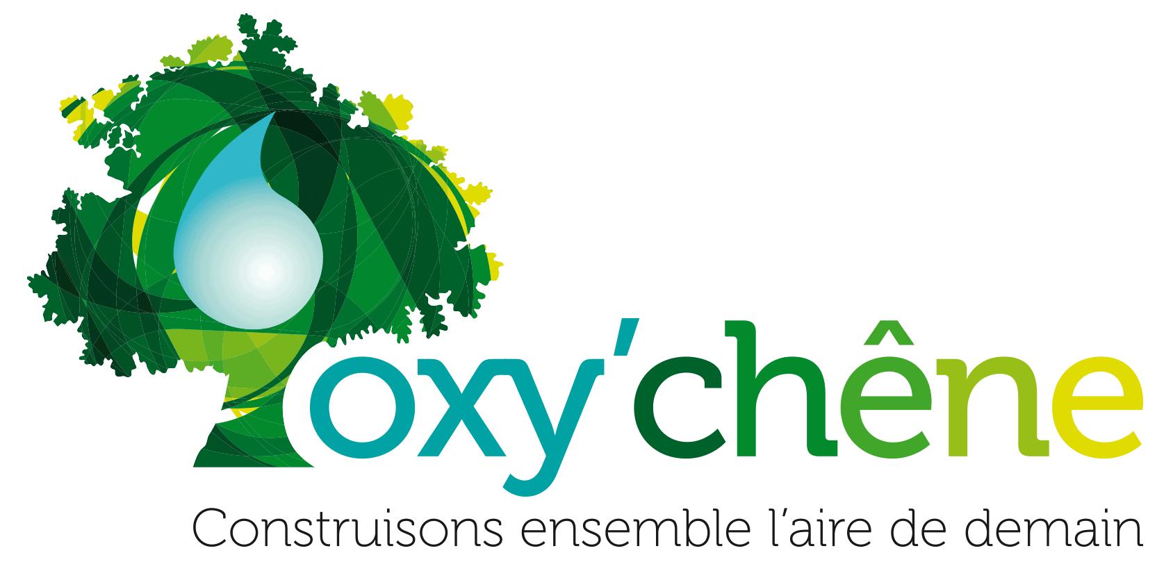 Logo OXYCHENE