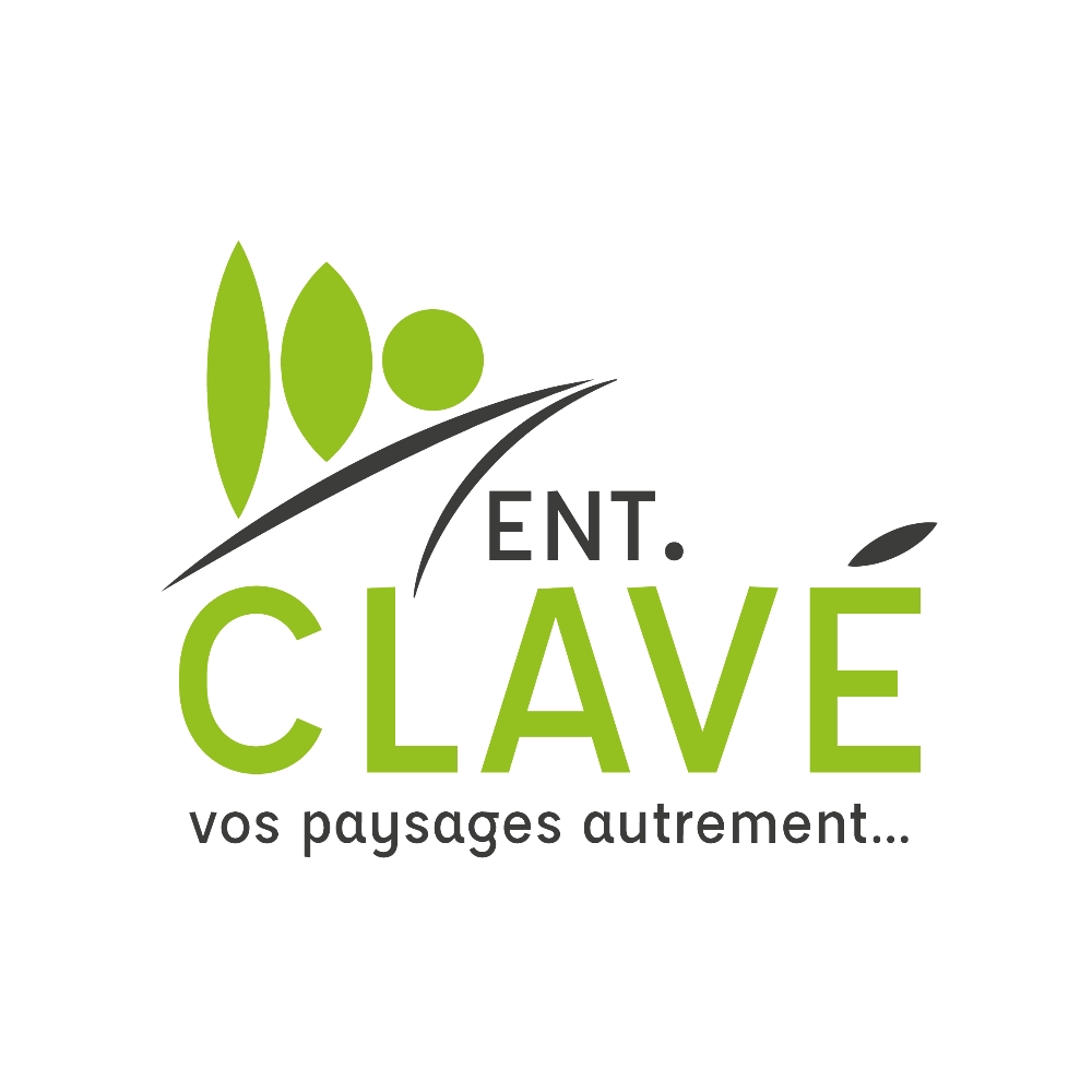 Logo ENT. CLAVE