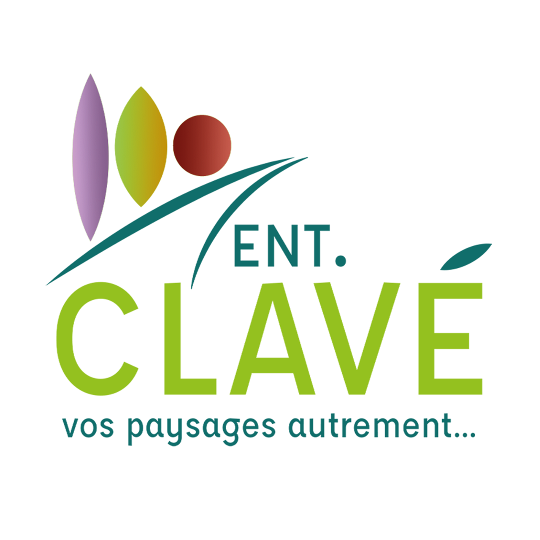 Logo ENT. CLAVE