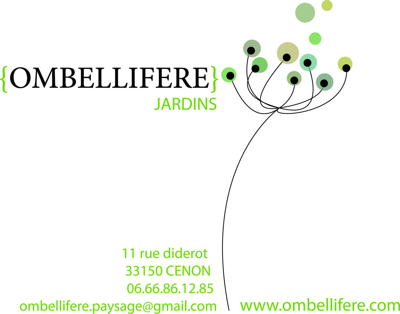 Logo OMBELLIFERE