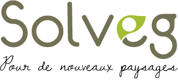 Logo SOLVEG