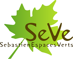 Logo SEVE