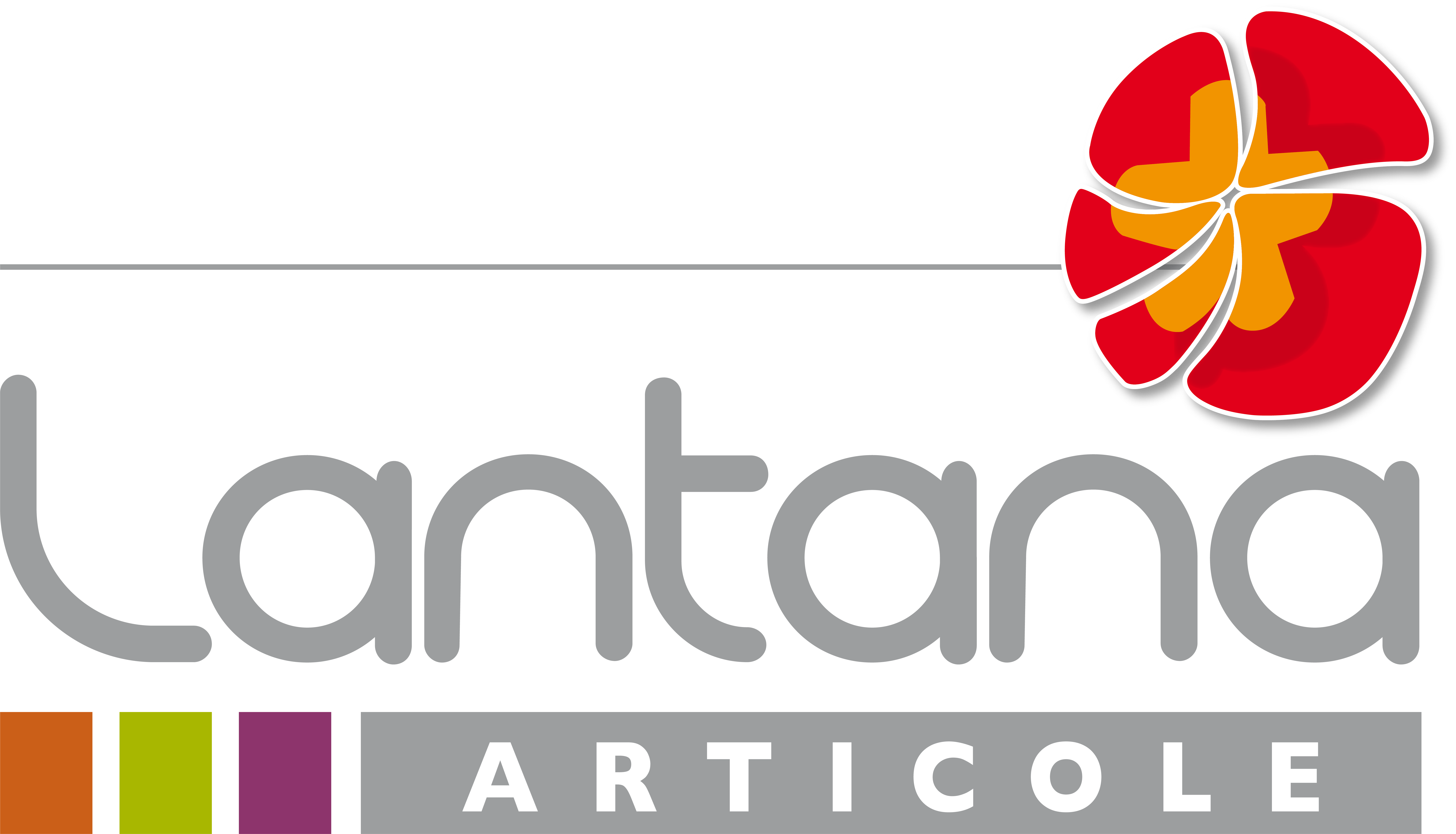 Logo LANTANA ARTICOLE