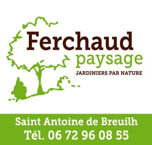 Logo FERCHAUD THIERRY