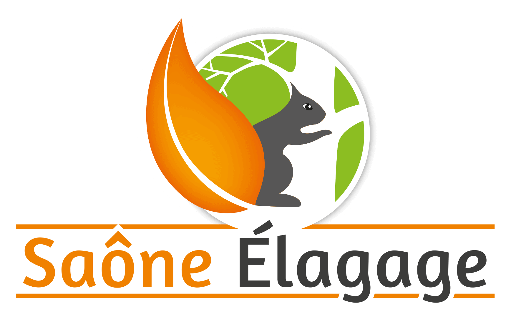 Logo SAONE ELAGAGE