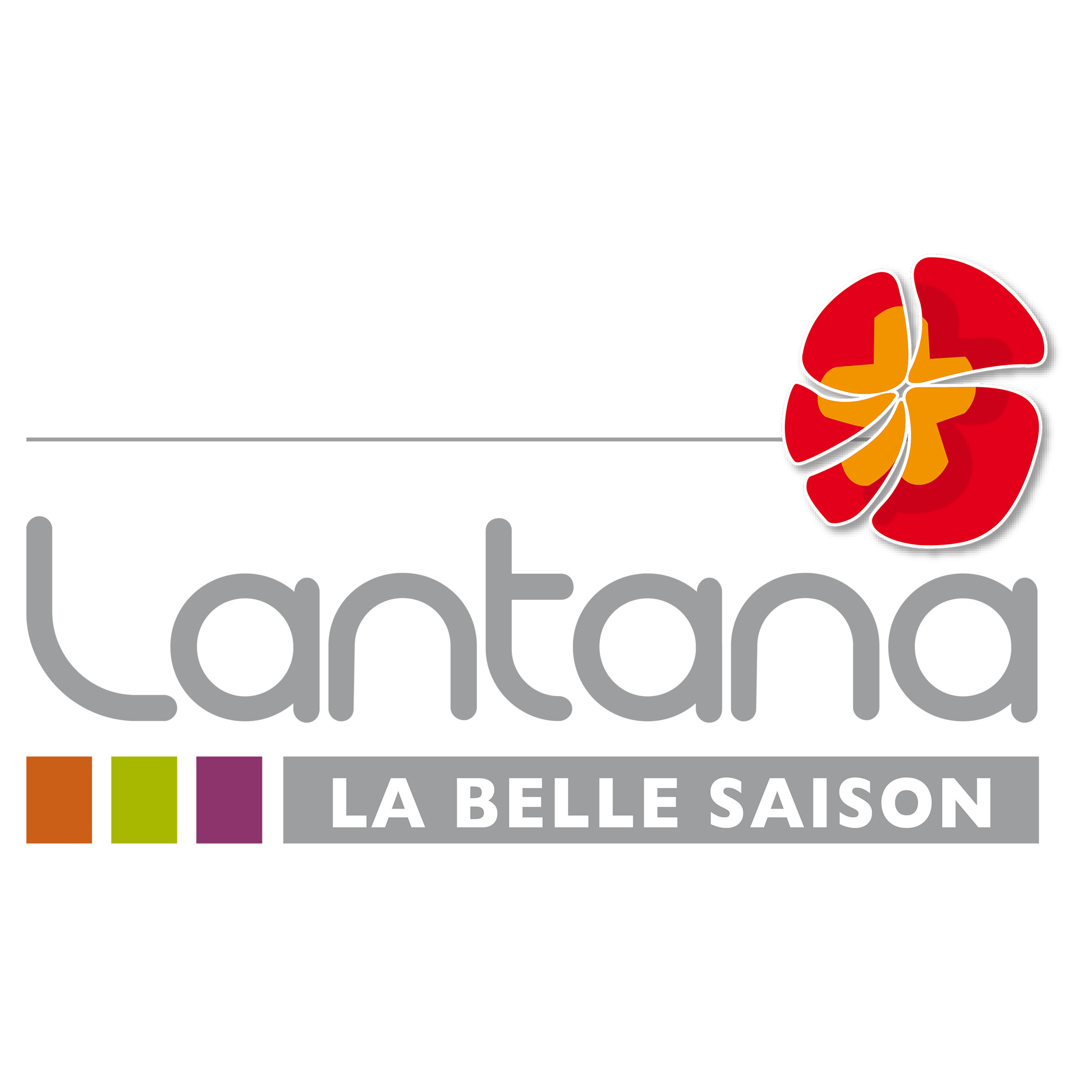 Logo LA BELLE SAISON