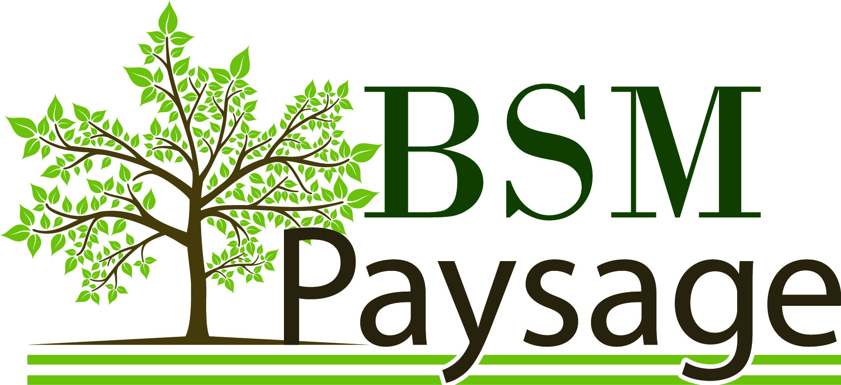 Logo BSM PAYSAGE & SERVICES