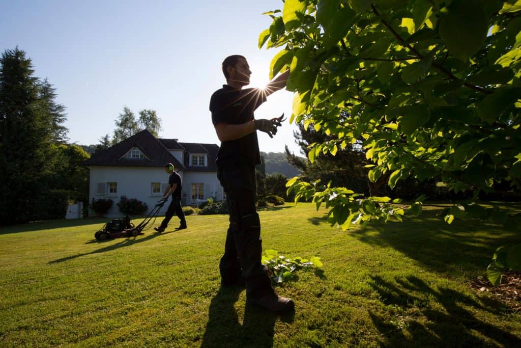 Entretien de jardin