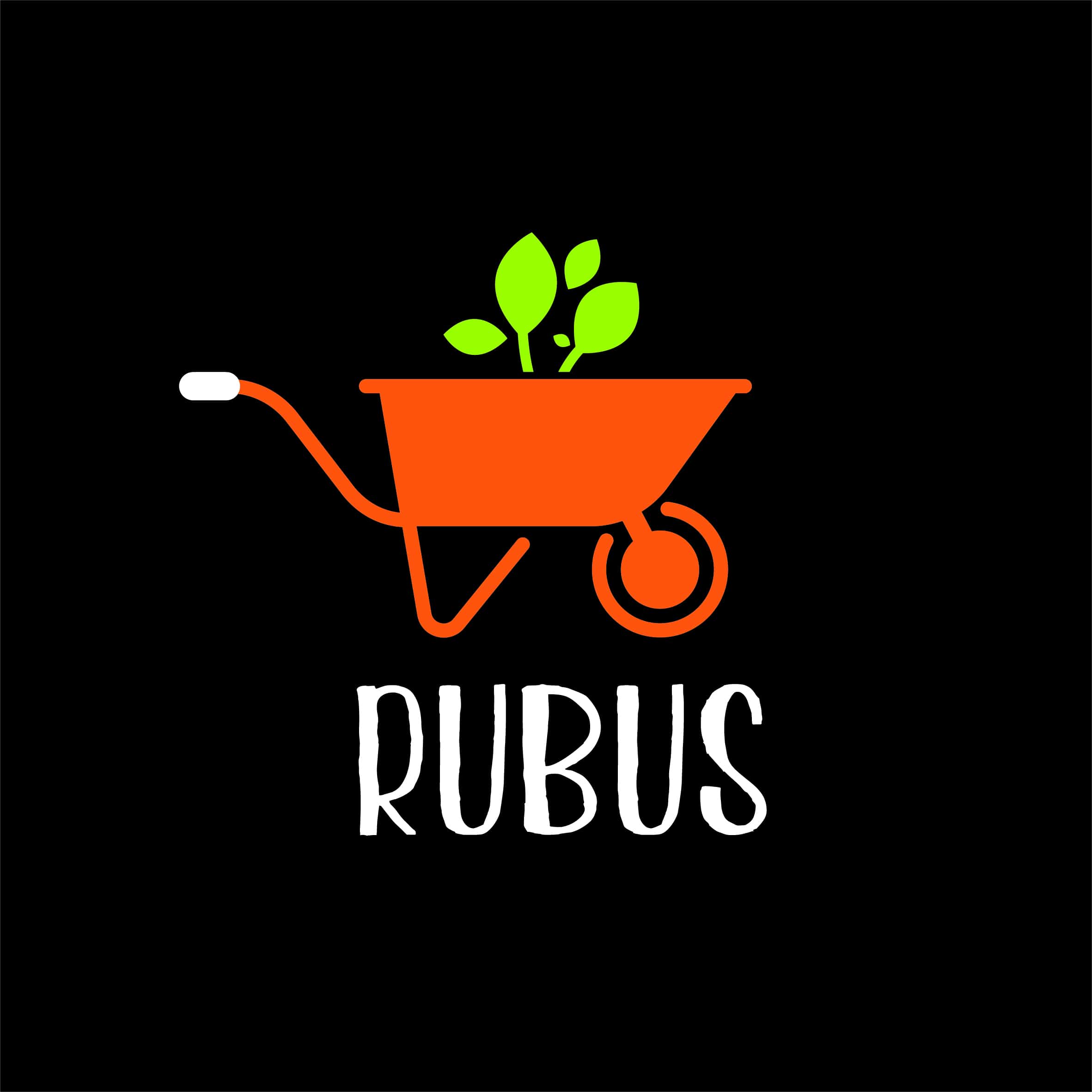 Logo RUBUS SERVICES