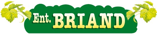Logo BRIAND ESPACES VERTS