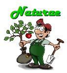 Logo NATURAE