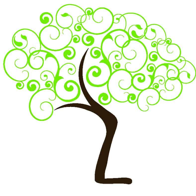 Logo L’ECHO DES JARDINS – ARNAUD MOULS