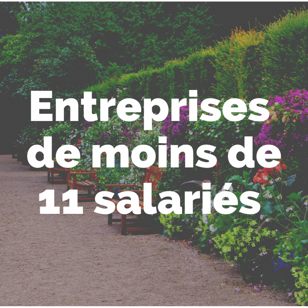 Entreprise de moins de 11 salariés