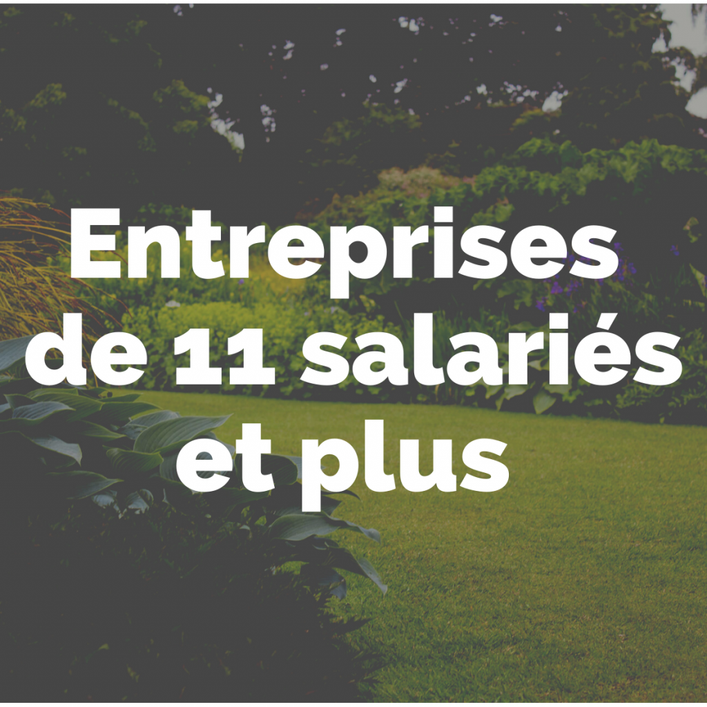 Entreprise de 11 salariés et plus