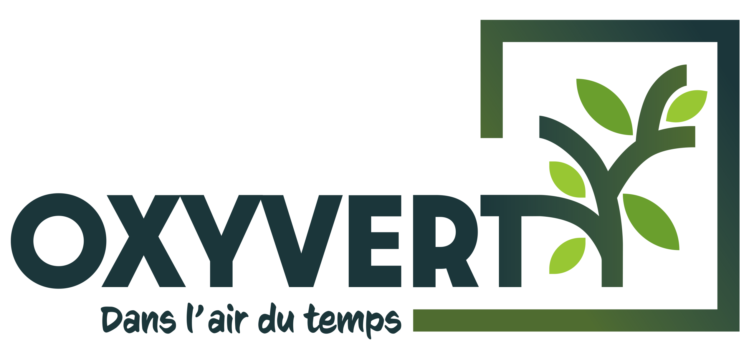 Logo OXYVERT