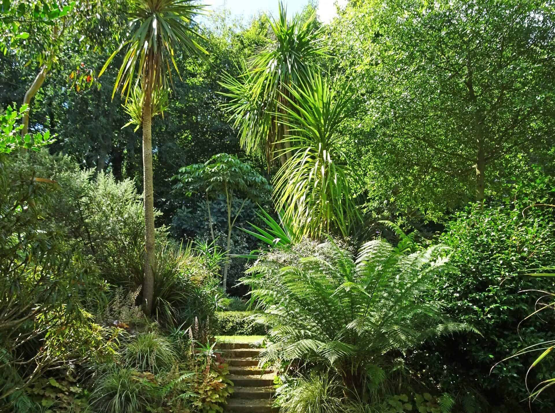 Comment créer un jardin exotique ? | UNEP