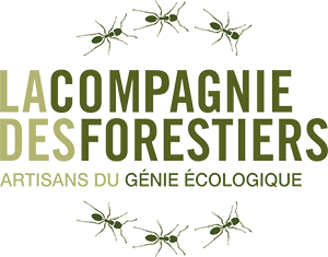 Logo LA COMPAGNIE DES FORESTIERS