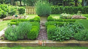 Potager Aromatique, La Louvière, BBoudassou