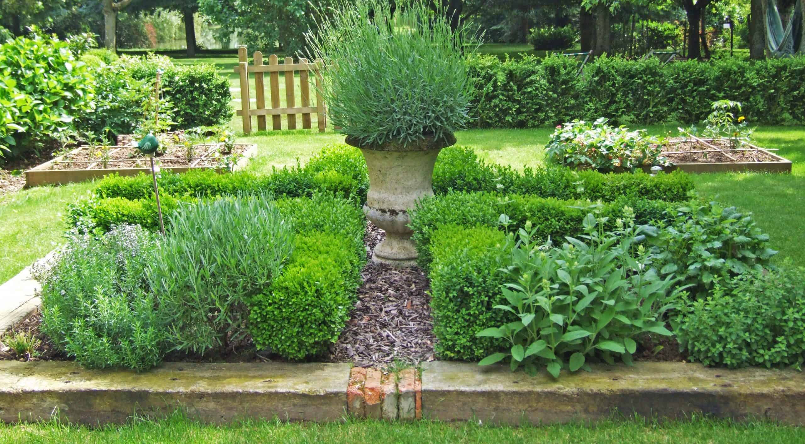 Quels conseils pour bien réaliser son jardin aromatique ?