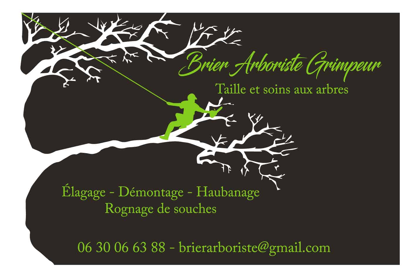 Logo BRIER ARBORISTE GRIMPEUR