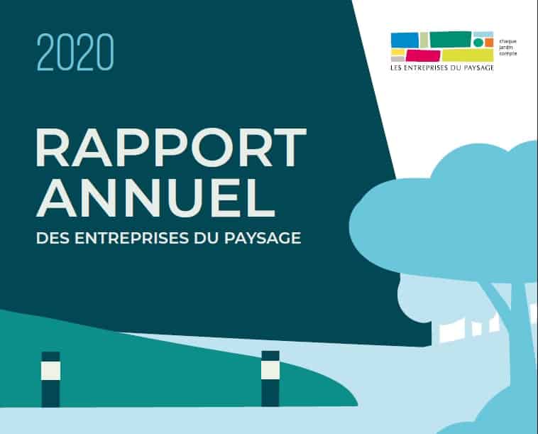 rapport d'activités 2020 de l'Unep